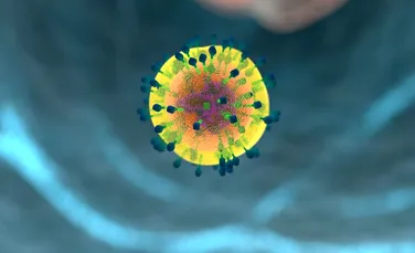 Cercetătorii au ”descifrat” mecanismul prin care virusul HIV îşi dezvoltă rezistenţa la medicamentele antiretrovirale