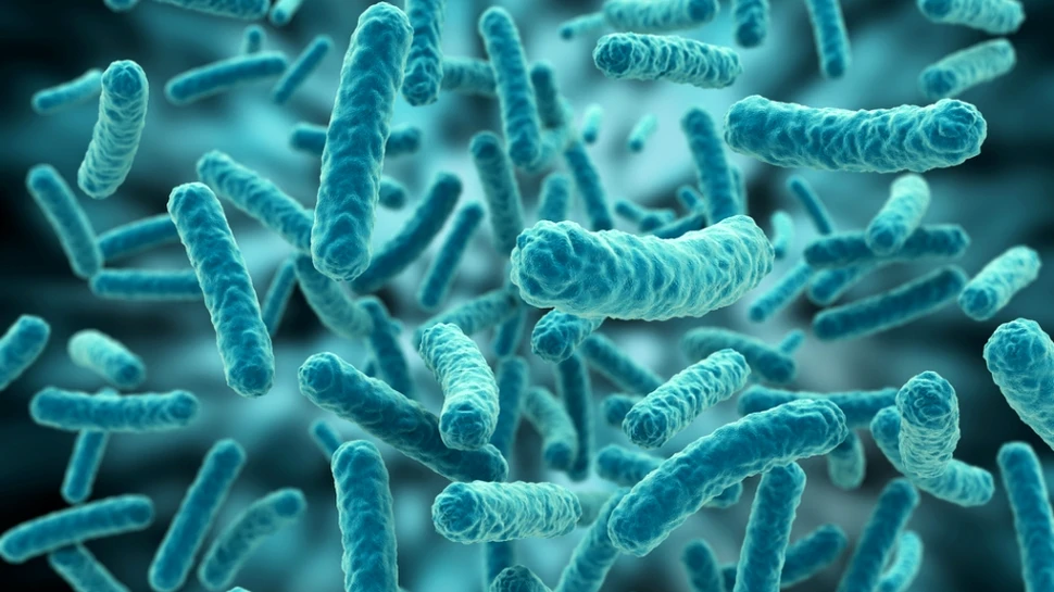 Caz medical straniu în Statele Unite: după ce şi-a trosnit degetele, un bărbat a contractat o bacterie extrem de periculoasă