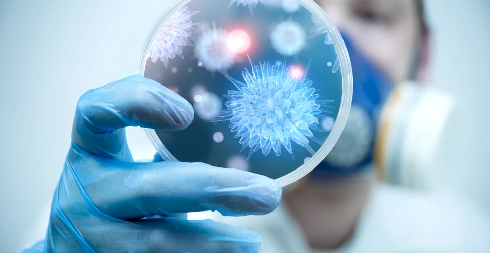 Bacterii programate să depisteze tumorile hepatice, create de cercetătorii de la MIT
