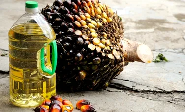 Războiul uleiului de palmier