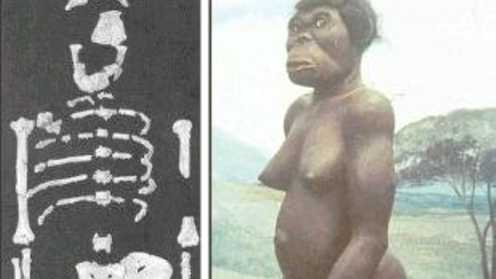 “Bunicul” lui Lucy a fost descoperit in Etiopia