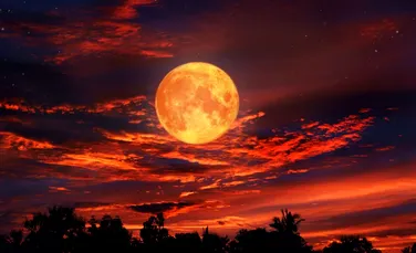 Cea mai spectaculoasă noapte astronomică din această vară