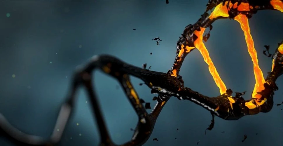 Au fost făcute publice primele detalii despre ”bebeluşii CRISPR”, a căror modificare genetică ”revoluţionară” a eşuat