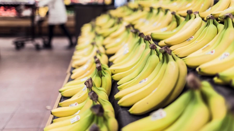 O altă specie importantă de banane, pe cale de dispariţie