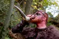 Fascinanta istorie a cornului de băut, vas simbolic al legendelor despre vikingii războinici