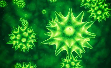 Virusurile nu au nevoie de mutații speciale pentru a infecta oamenii, arată un studiu