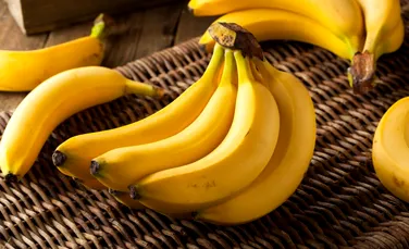 Bananele modificate genetic, aprobate de autorități pentru prima dată. Unde s-a întâmplat?