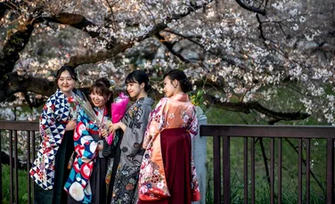 Cel mai timpuriu sezon al florilor de cireș din ultimii 1.200 de ani în Japonia