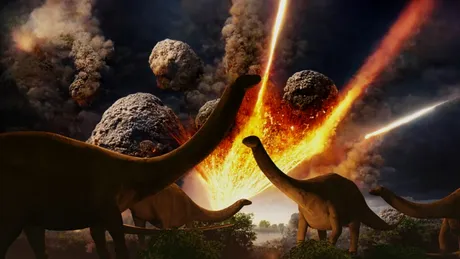 De ce șopârlele au supraviețuit dar dinozaurii au dispărut după impactul asteroidului?