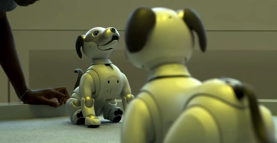 VIDEO Sony a scos câinele robot Aibo: este adorabil, dar preţul acestuia nu este pentru toate buzunarele