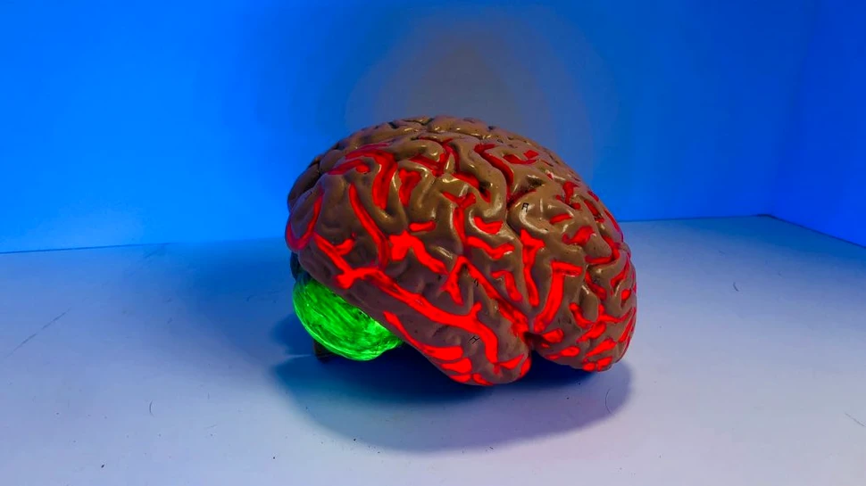 O echipă de cercetători condusă de un român a creat o nouă modalitate de studiere a Alzheimerului la nivelul creierului