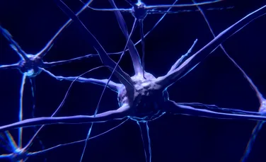 10 descoperiri impresionante despre creier care au fost făcute în 2019