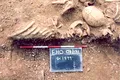 Vikingii ar fi răspândit virusul care a provocat una dintre cele mai mari catastrofe ale omenirii