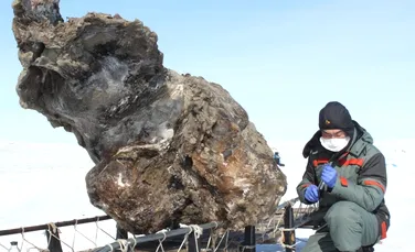 Premieră mondială: a fost descoperit sângele vechi de 10.000 de ani al unui mamut (FOTO)