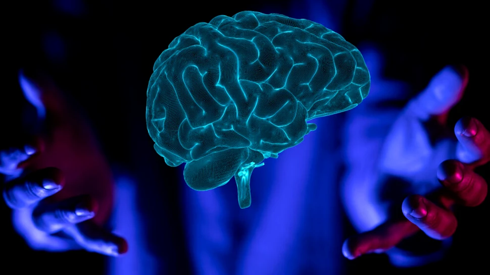 Cum se dezvoltă, de fapt, creierul? Un studiu aruncă o nouă lumină asupra cogniției