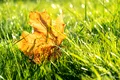 Cum va fi vremea în septembrie? Meteorologii anunță că nu scăpăm de căldură