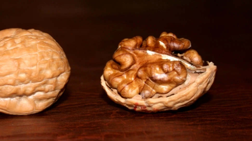 Nucile pot reduce riscul de cancer la san