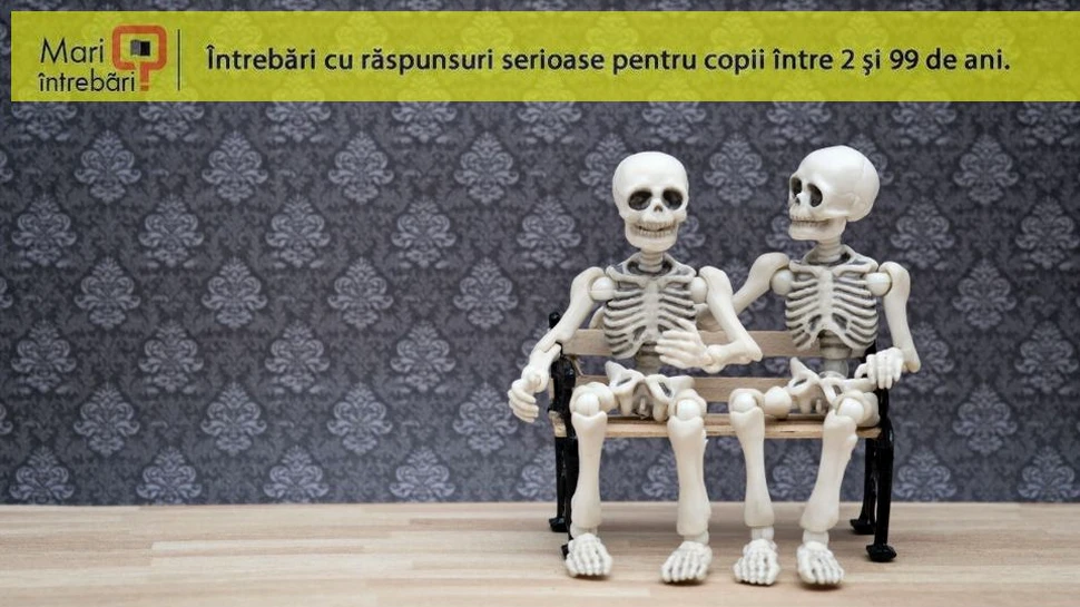 De ce nu ne este frică de moarte?