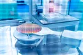 Oamenii de știință au creat siliciu ultra-curat pentru cipuri cuantice din generația următoare