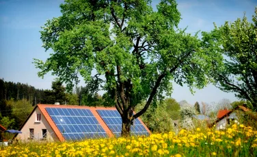 Inginerii au creat lemnul care oferă energie solară chiar și noaptea