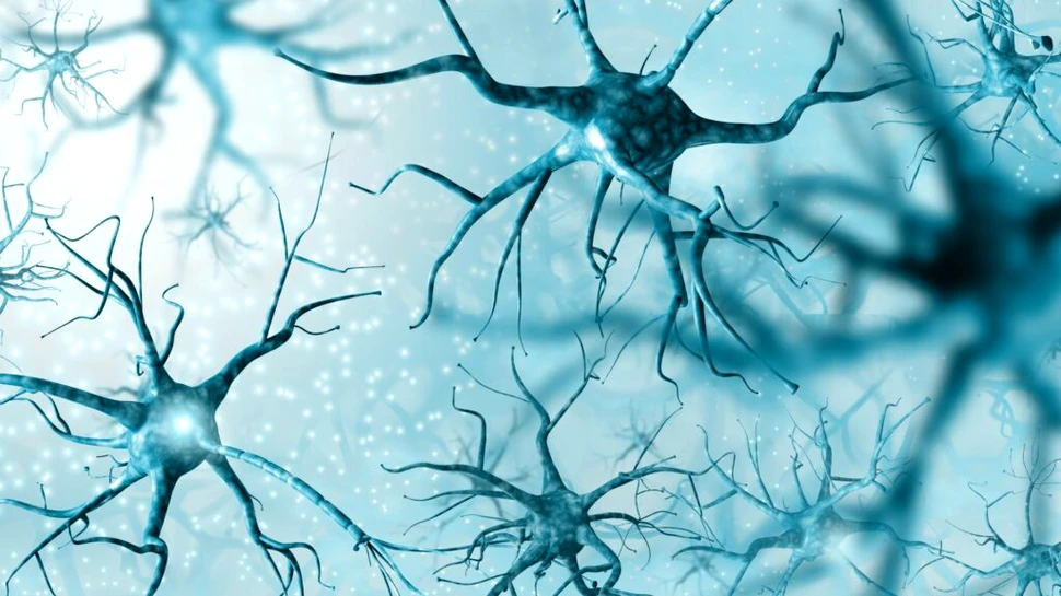 Particule acoperite cu zahăr ar putea proteja neuronii de boala Alzheimer