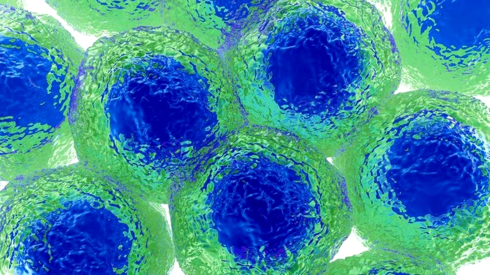 În PREMIERĂ, celulele vii au reuşit să formeze legături de carbon şi silicon. Descoperirea dovedeşte posibilitatea existenţei vieţii pe alte planete