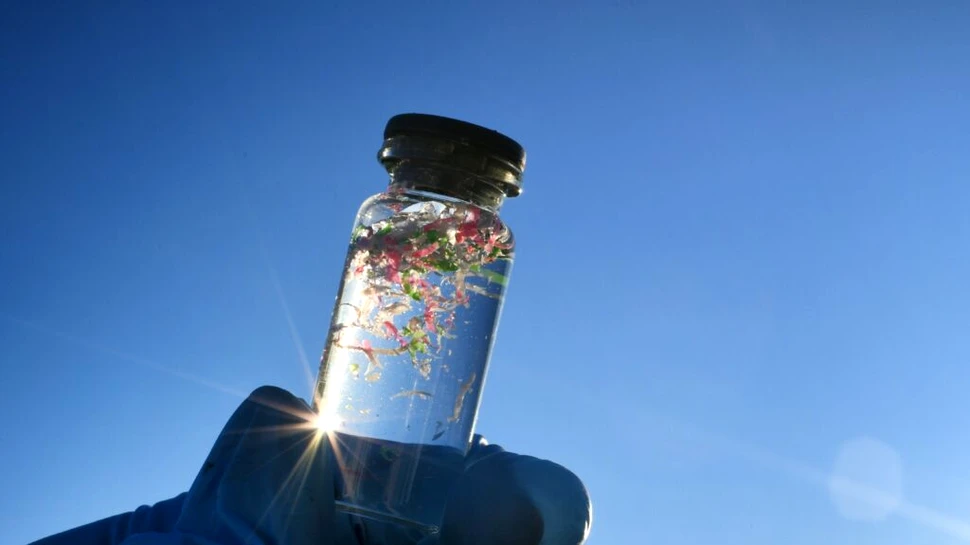 Microplasticele: Tot ce trebuie să știi despre ce sunt și cum reducem expunerea