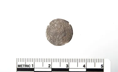 Un nasture găsit pe un câmp s-a dovedit a fi o monedă rară din timpul ultimului rege viking al Norvegiei