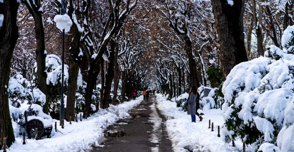 Cum va fi vremea în ianuarie 2024? ANM anunță temperaturi de primăvară