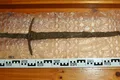 O sabie rară din secolul al XIV-lea, găsită de arheologi amatori în Polonia