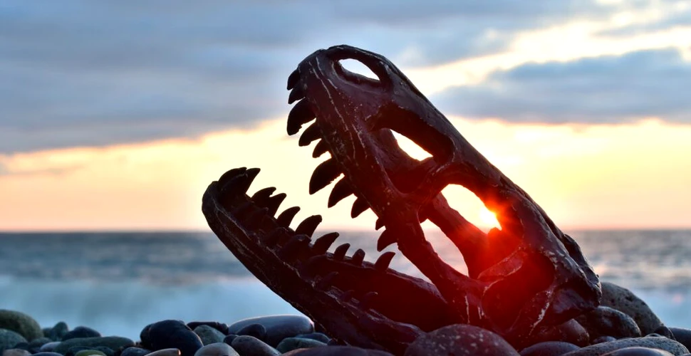 Dinozaurii erau „chiar la apogeul lor” atunci când asteroidul a lovit Terra