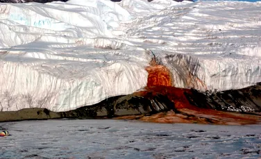 Un ghețar din Antarctica „sângerează” și nedumerește oamenii de știință
