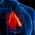 Un organ uitat ar putea prezice cât de mult vei trăi