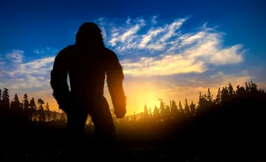 Un cercetător crede că există o explicație simplă pentru fenomenul Bigfoot