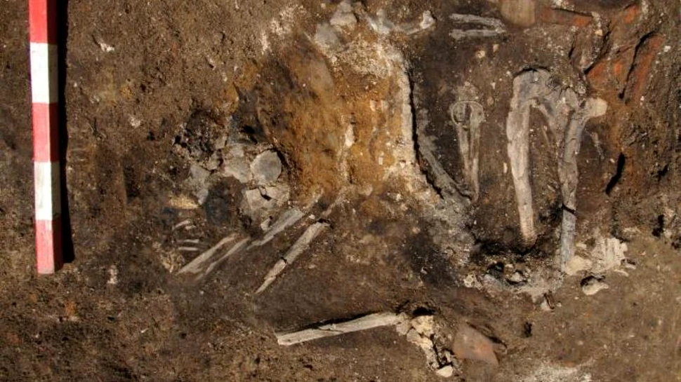 O descoperire macabră în Bulgaria ilustrează cruzimea invaziei goţilor