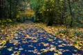 Cum va fi vremea până în octombrie? ANM a anunțat prognoza