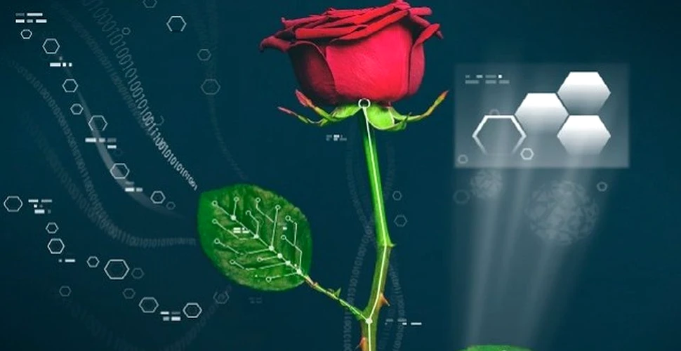 A fost creată  prima plantă electronică din lume: ”Nimeni n-a mai făcut asta până acum”. S-a muncit la ea 20 de ani