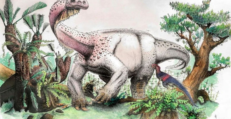 O nouă specie de dinozaur ierbivor gigant, detectată în Africa de Sud. Cântărea aproximativ 12 tone
