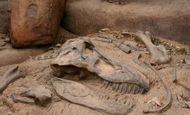 Fosilele unui dinozaur uriaș au provocat un accident rutier în Argentina