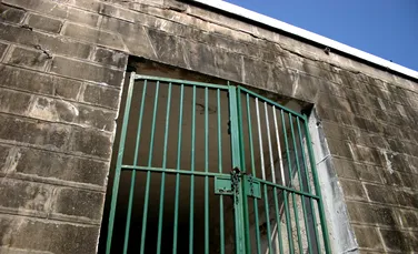 O închisoare din Brazilia, păzită de un stol de gâște