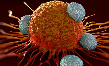 Un nou proces descoperit de biologi prin care se pot neutraliza tumorile poate duce la un remediu eficient împotriva cancerului
