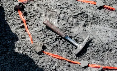 Cercetătorii au găsit fosila unui dinozaur cu tot cu piele