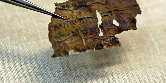 Misterele Manuscriselor de la Marea Moartă, dezvăluite cu ajutorul testelor ADN