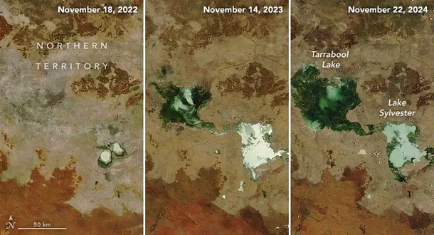 lacuri s au unit în Australia