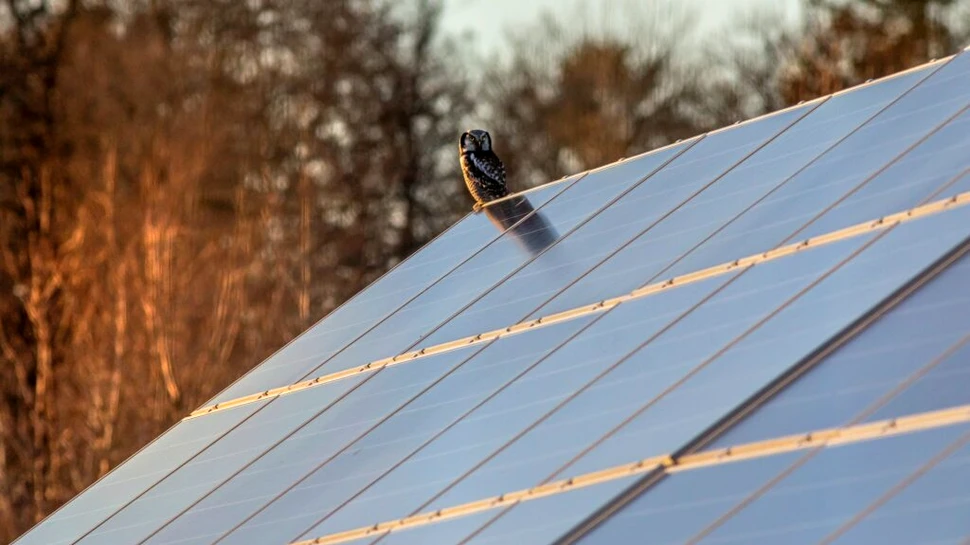 Celula solară perovskită depășește pentru prima dată pragul de 30 de ani pentru durata de viață