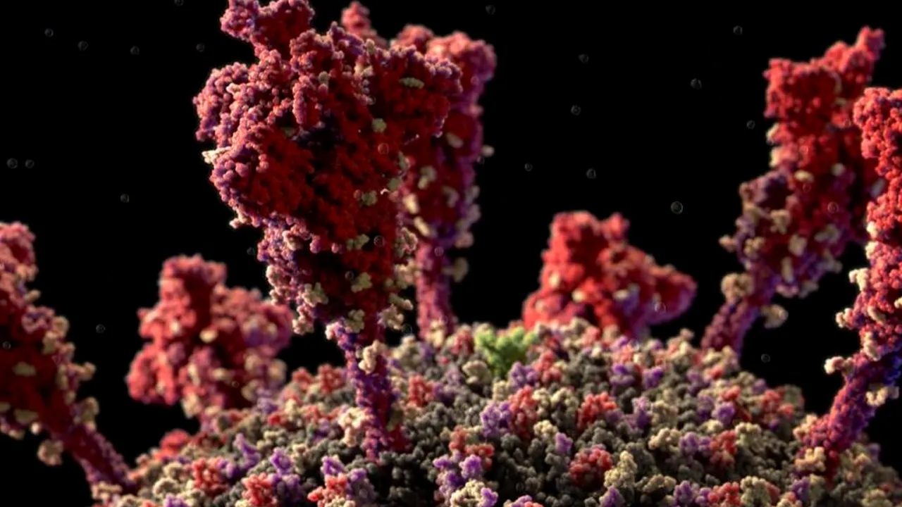 Sursa foto: Youtube Visual Science 