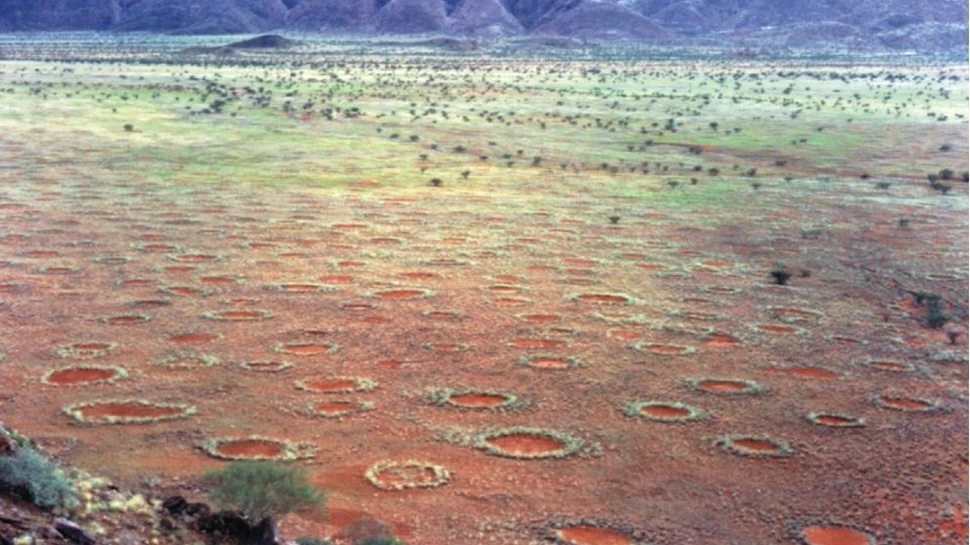 Misterul ”cercurilor zânelor” din deşertul Namib a fost în sfârşit elucidat
