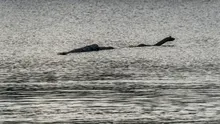 Povestea Monstrului din Loch Ness