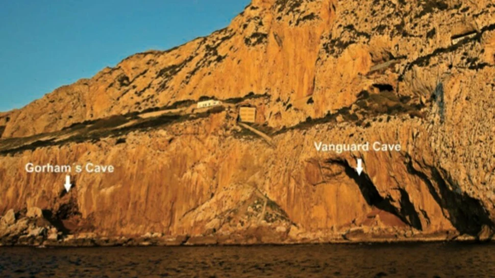 A fost descoperită o structură complexă care ar fi putut să fie creată doar de neanderthalieni