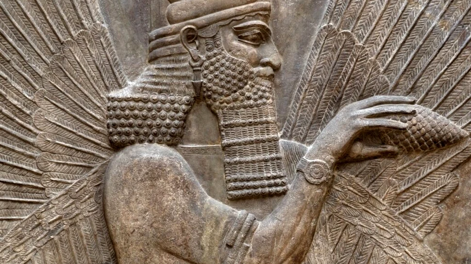 Smalțul dinților dezvăluie ce mâncau primii mesopotamieni